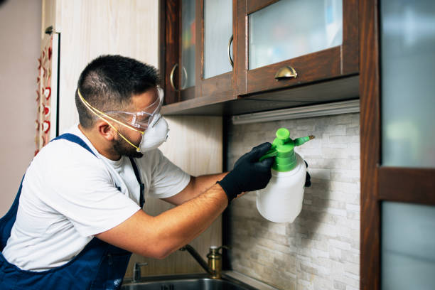 Reliable Fisher, IL Pest Control Solutions