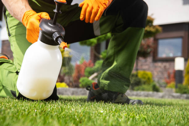Best Termite Control Services  in Fisher, IL