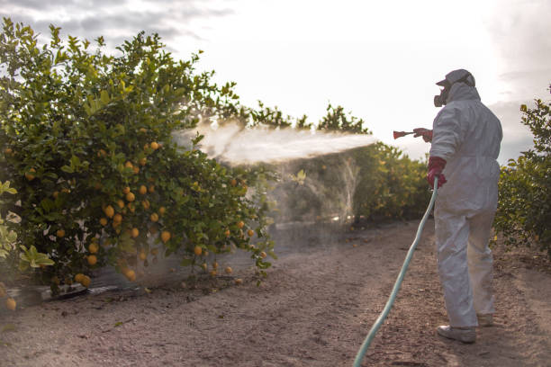 Best Local Pest Control Services  in Fisher, IL