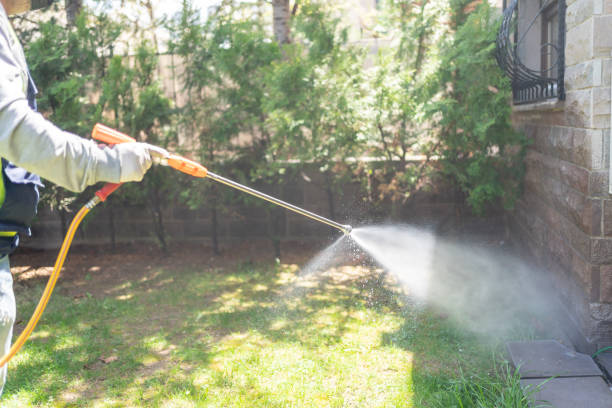 Best Rat Extermination Near Me  in Fisher, IL