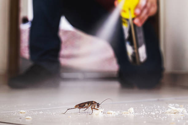 Best Pest Prevention Services  in Fisher, IL
