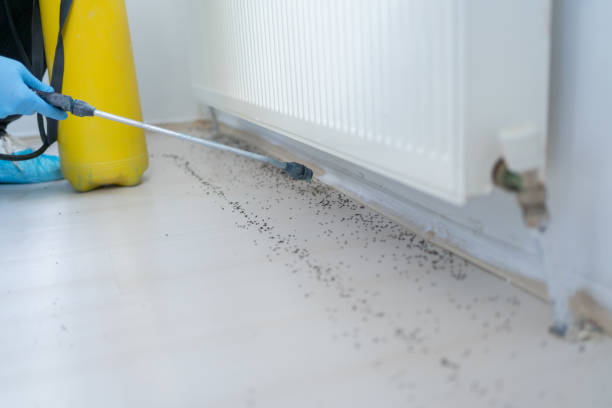 Best Pest Prevention Services  in Fisher, IL